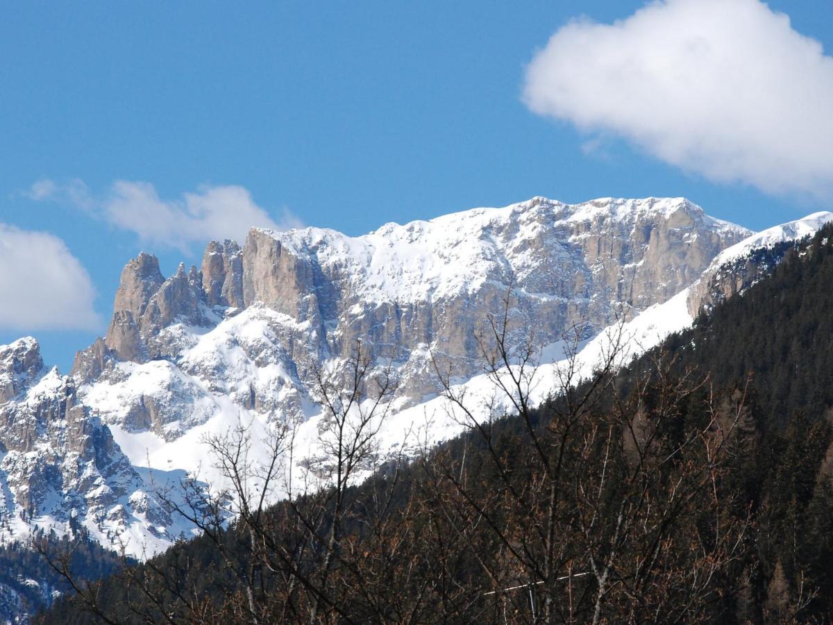 Apartment Villa Placidia-5 By Interhome Campitello di Fassa Buitenkant foto
